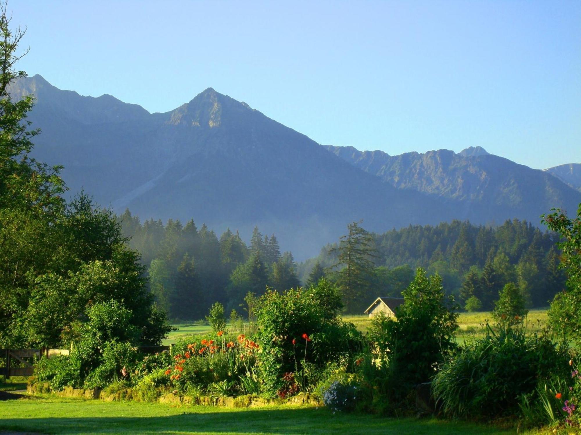 Nebelhorn Daire Ofterschwang Dış mekan fotoğraf