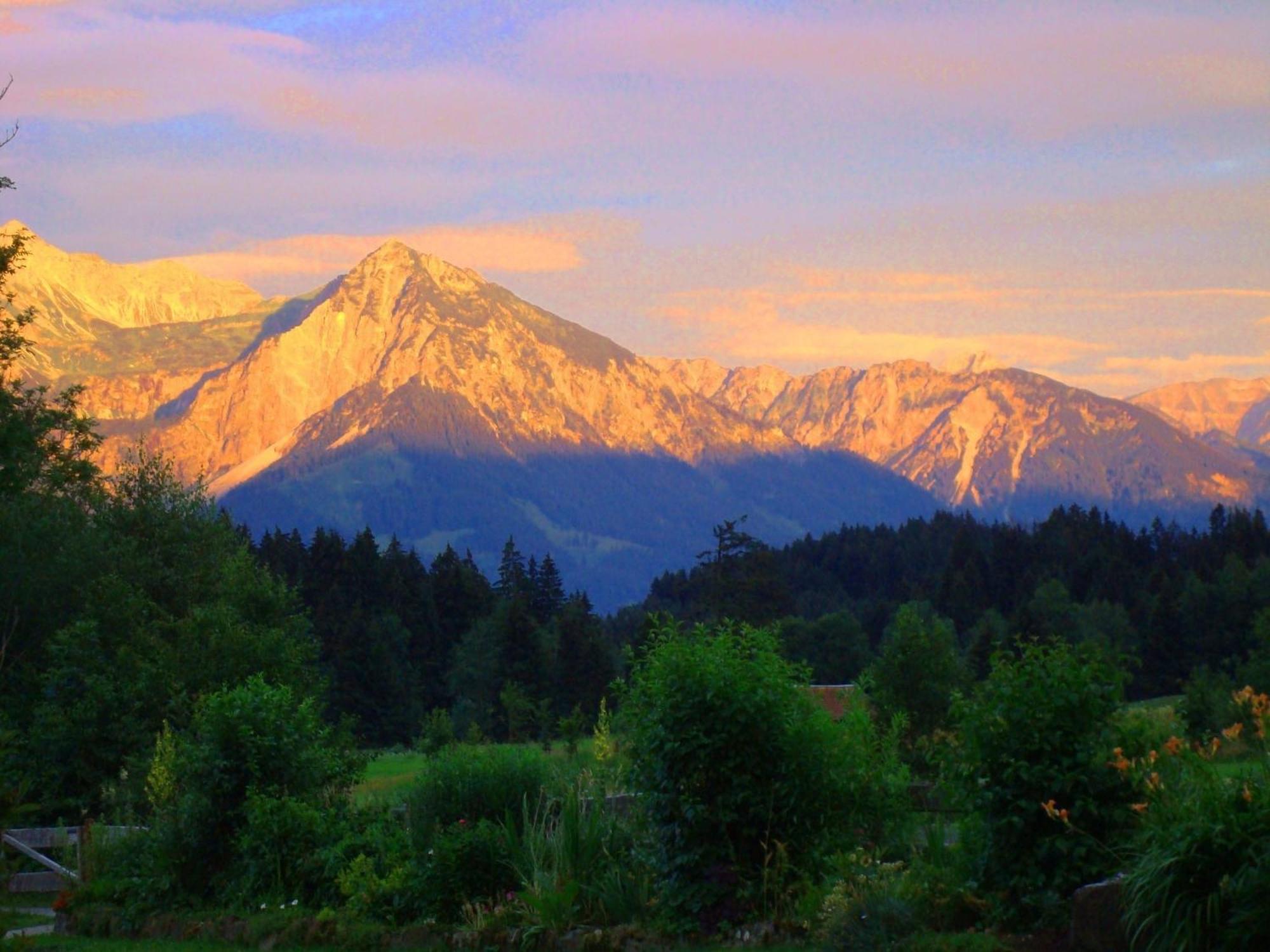 Nebelhorn Daire Ofterschwang Dış mekan fotoğraf